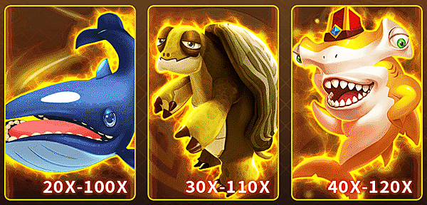 螢幕擷取畫面 2025-02-09 204832.png